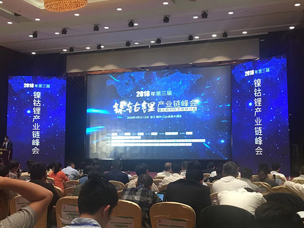 榴莲网站视频APP风采-镍钴锂行业会场